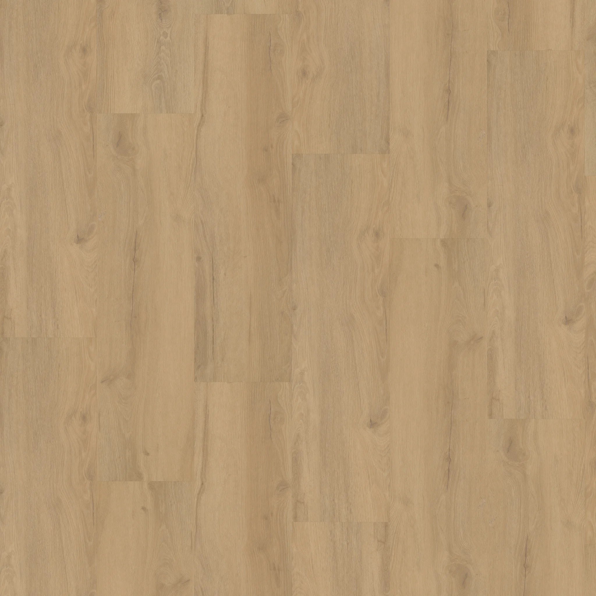 Frontalansicht der Oberflaeche von Klebevinyl Eiche Soft Øyer